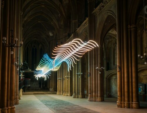 Un oiseau de passage